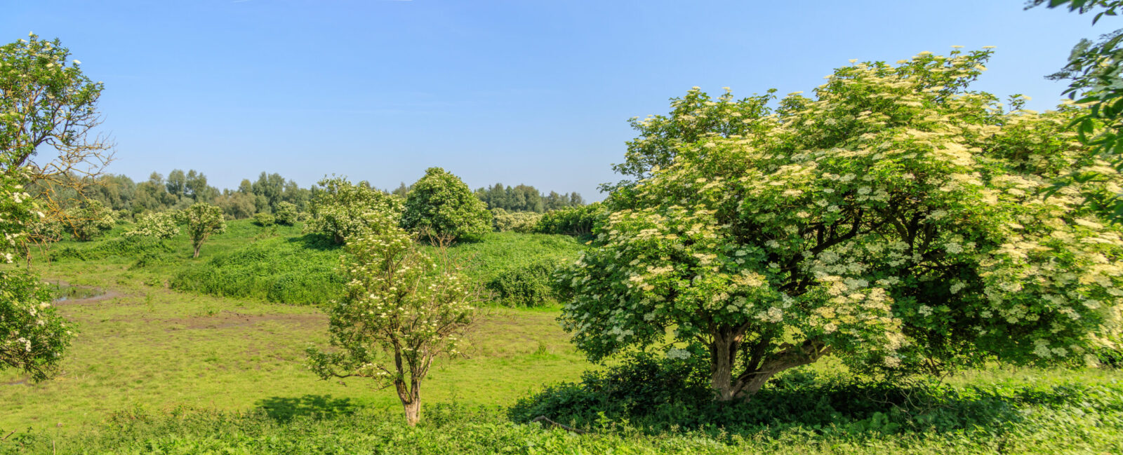 Foto Vogtschmidt